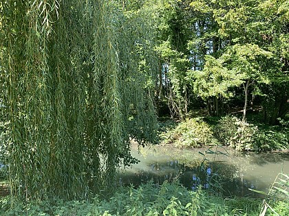 Rivière le Charlieu