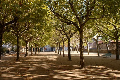 Parc des Platanes
