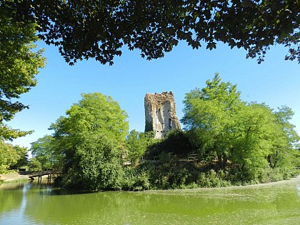 Donjon de Coulommiers-La-Tour