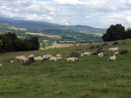 Panorama de Beauvoir