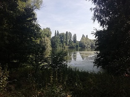 Bassins du Carouges et du Petit Paris