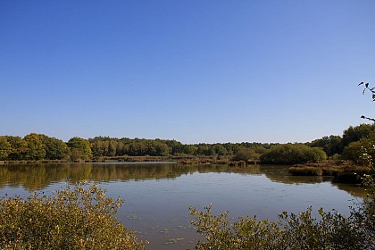 Etang de la Tuilerie