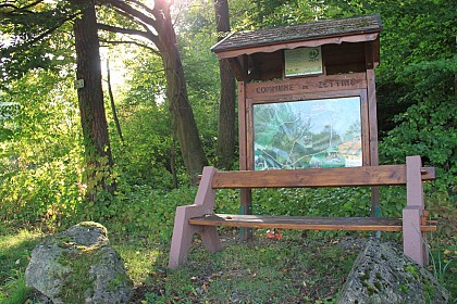 Forêt communale de Zetting