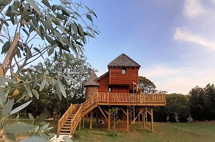 Cabane perchée Tobago