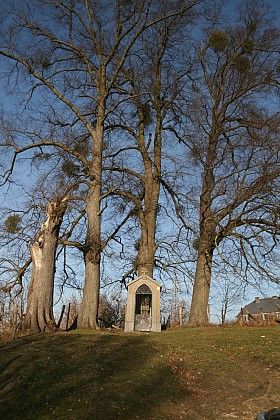 Chapelle Sainte-Anne