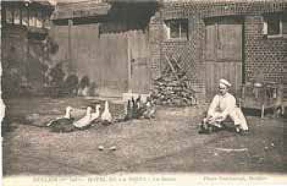 Un petit creux ? Au menu, canard de Duclair... Et plantes sauvages comesibles !