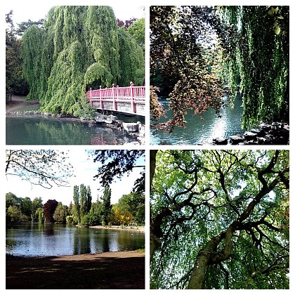 Parc Edmond de Rotschild