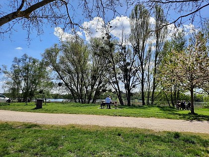 Aire de pique-nique à l'Herbe Verte de Châteauneuf-sur-Loire