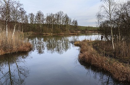 Marais de Génonville