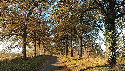 Waremme - "Entre fermes et châteaux" - 8,3km