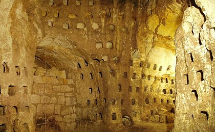 Troglodytes de la Tourette