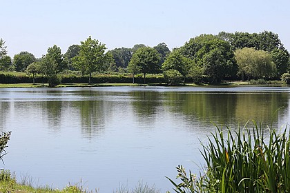 SAINT-MESMIN / Le Bois du Renard