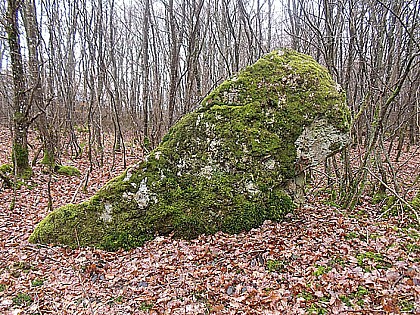 Menhir du Bois de Forville