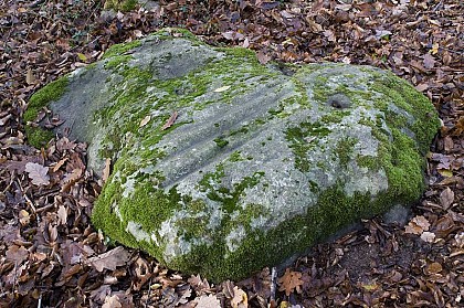 Polissoir du bois des miracles