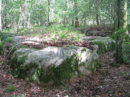 Polissoirs de l'étang de la roche