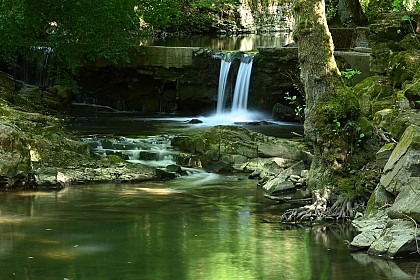 Sierck-les-Bains quartzite outcrop