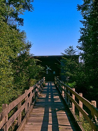Observatoire ornithologique de Lindre-Basse