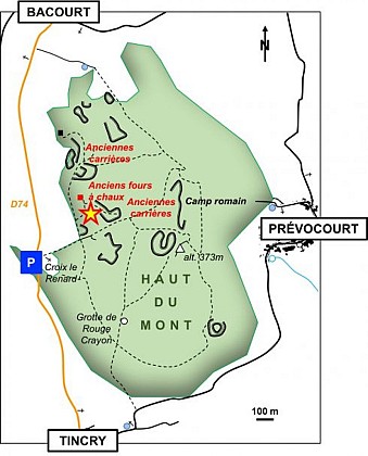 Oppidum protohistorique de Tincry