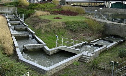 Echelle à poisson de Lixhe