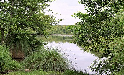 Etang de la Tesserie