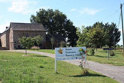 Conservatoire du châtaignier