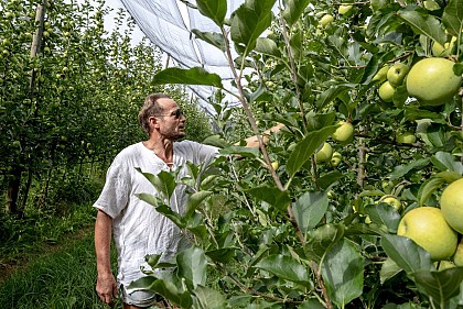 Le verger de Vergnas