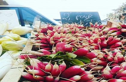 Ferme de la Grande Jupille