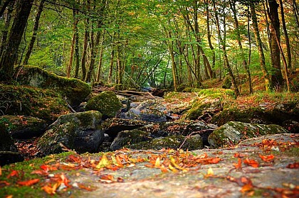 La Vallée de la Gartempe et affluents