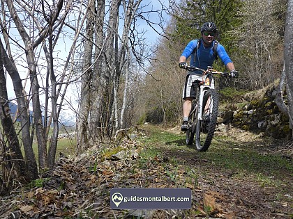 Randonnée en VTT et VTT électrique - Bureau des Guides de Montalbert
