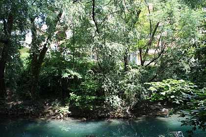 Thiou à Annecy et Cran-Gevrier