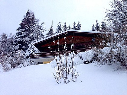 Flat 6 persons - Les Feignes 920 - Ground floor chalet close to Belle Hutte chairlift