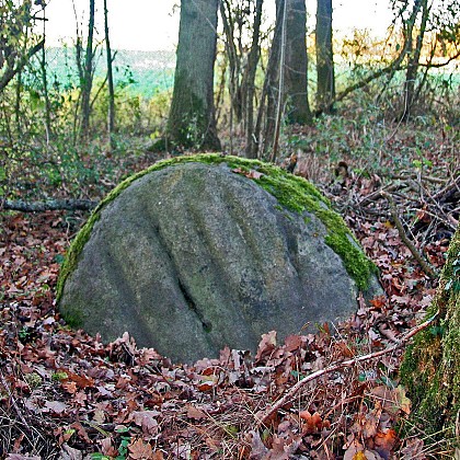 Polissoir du Bois de la Grande Vente n°2