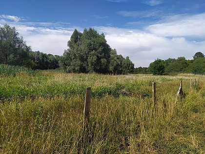 Espace naturel du Perray-Vaucluse