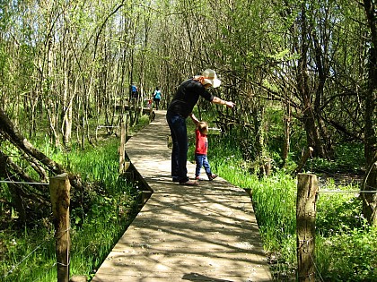 Zone humide de Maymac