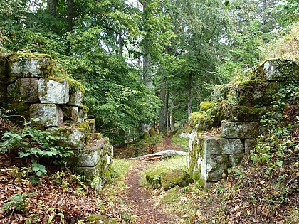 Château du Grand Ringelstein