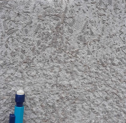 Des stromatopores tubulaires