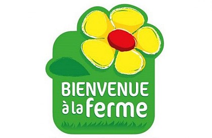 Grains de f'OLI