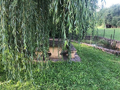 Aire de pique nique à Saint-Avit-Rivière