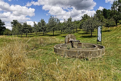 Ambrières - Conservatoire Pomologique