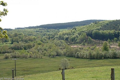 La lande de Sénéjoux