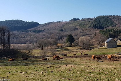 Allogne-Puy de Pantou