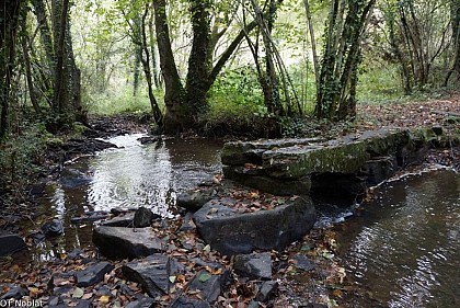 The stone plank bridge