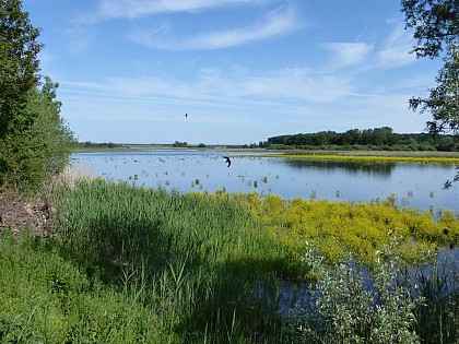 Observatoire de Senon