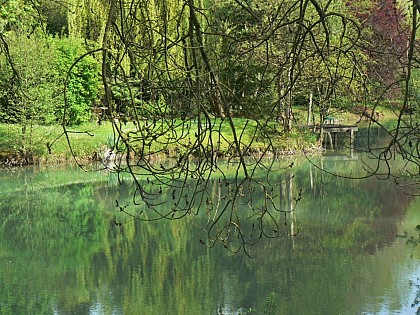 Gite de la Maison de l'Etang