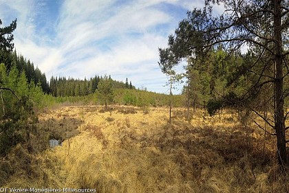 Les tourbières
