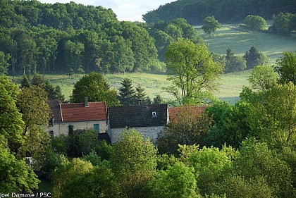 Evolution of the landscape