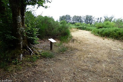 Site des maquisards Félix Cadras