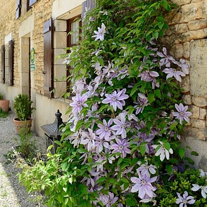 La Ferme du Puy d'Anché - chambres d'hôtes