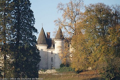 Vue sur le Château de Brignac