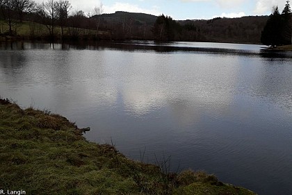 Vue sur le Mont Gargan